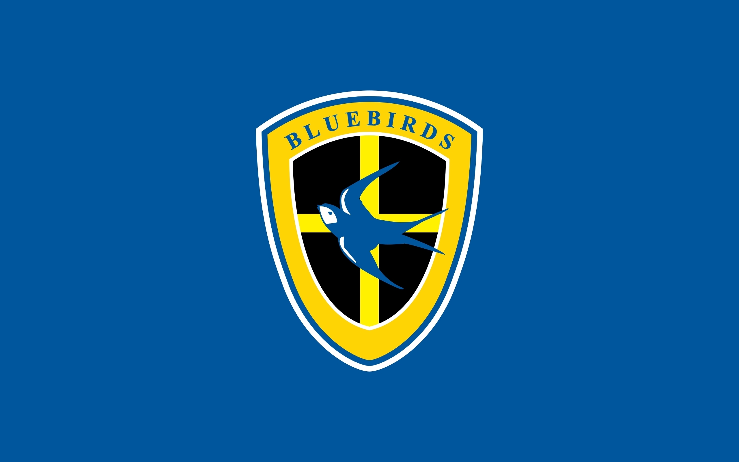 Cardiff City FC Primary logo v2 t shirt iron on transfers